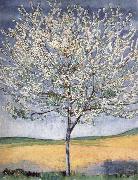 Cherry tree in bloom, Ferdinand Hodler